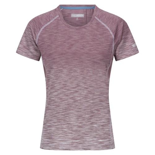 Regatta Womens/Ladies Ombre T-Shirt