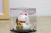 Castle Enterprise S Mini Waving Cat Set of Bulk A Delightful Japanese Souvenir for Comes In a Clear Case Maneki-neko [Oval] (White) Solar-Powered,