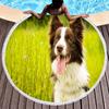 Border Collie Round Beach Towels,Dog Greeting Its Owner Among Flowers Sand Free Absorbent Beach Blanket Bath Towels Picnic Mat