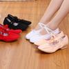 Latin Dance Shoes for Woman Girls Ladies Practise Teachers Shoes Graffiti Ballroom Modern Tango Jazz Dancing Shoe