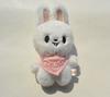 Plush Skzoo Keychain Wandering Plush Toy Water Scarf Bean Eye Li Longfu Keychain Pendant Children'S Creative Toy