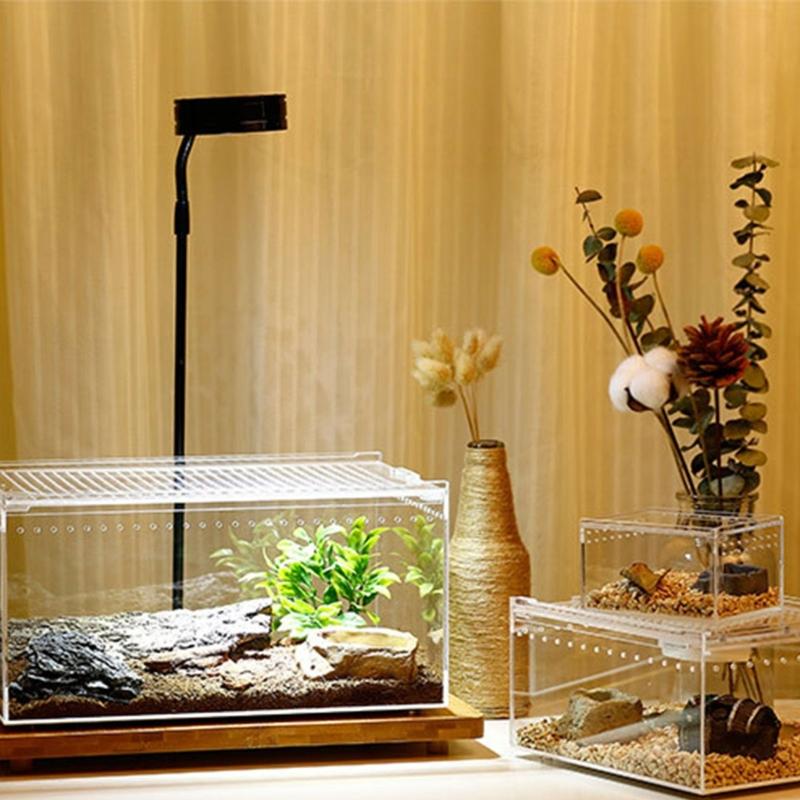 Reptile Box Feeding Small Pet Horned Spider Lizards Snail Snake Clear Designed Box Geckos Silkworms Insect Snake House