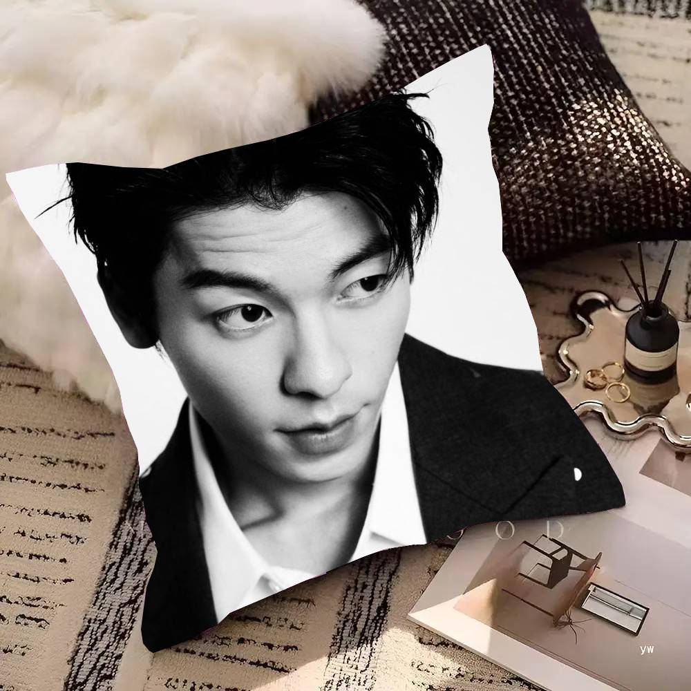 Actor And Singer Xu Guanghan Pillow Case Fashion Square Pillowcase Bedroom Sofa Room Ins Decoration Leisure