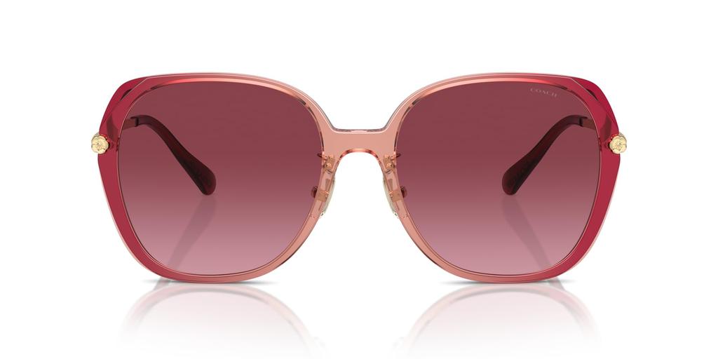 Acheter Lunettes de soleil HC8403D CR636 DÉGRADÉ 59 [Coach] Femme
