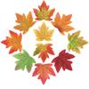 Maple Leaf Classroom & Halloween Decoration - Autumn Theme