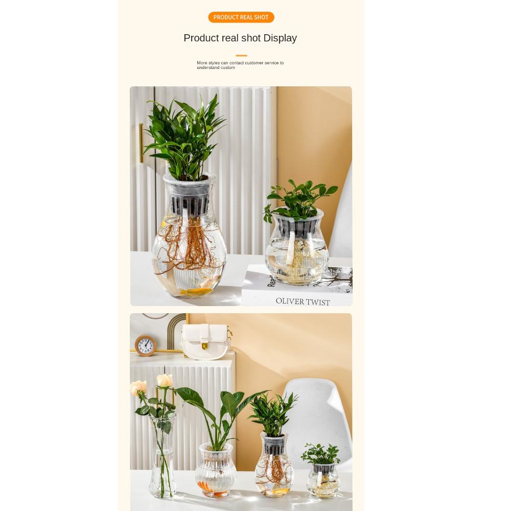 Self Watering Self-absorbing Flower Pots Plastic Transparent Vase Bamboo Planter Pots Succulents Waterless Cultivation