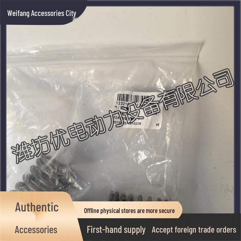 WP3.7 Valve Springs (Inner/Outer) for Diesel Engine WP4.1 4M10 Yangchai