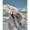 Imitation Rex Rabbit Fur Coat Women's Winter New Fragrant Stand-up Collar Plush Loose Hooded Coat Tide