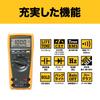 Fluke True RMS Multimeter (Official Japanese Product) 175