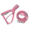 Cães – Colares e correias para cães