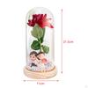 Rose Flower Gifts Valentine's Day Gift Everlasting for Mom Birthday