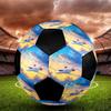 Fotbal – Mingi de fotbal