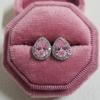 Elegant Light Luxury Pink Zircon Earrings for Women High-End Temperament Trendy Zircon Accessory