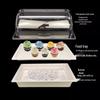 Clear Plastic Bread & Cake Display Tray with Insulated Dust Cover