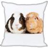 Living Room Pillowcase Guinea Pig   Modern Home