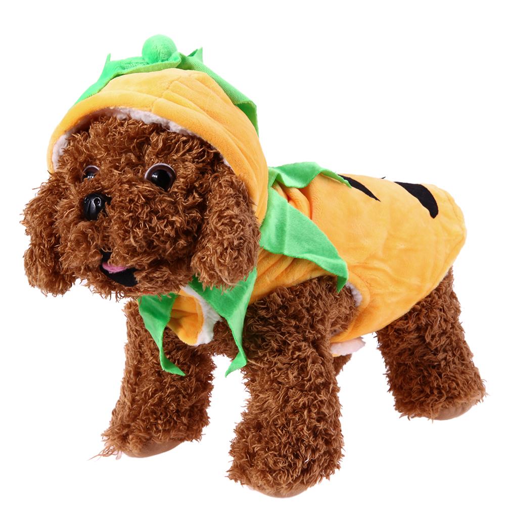 dog pumpkin sweater