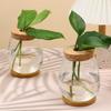 Transparent Tabletop Plant Vase with Wooden Tray Mini Terrarium Glass Planter  Botanical Display