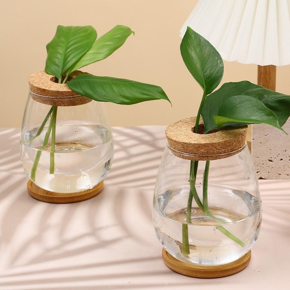Transparent Tabletop Plant Vase with Wooden Tray Mini Terrarium Glass Planter  Botanical Display