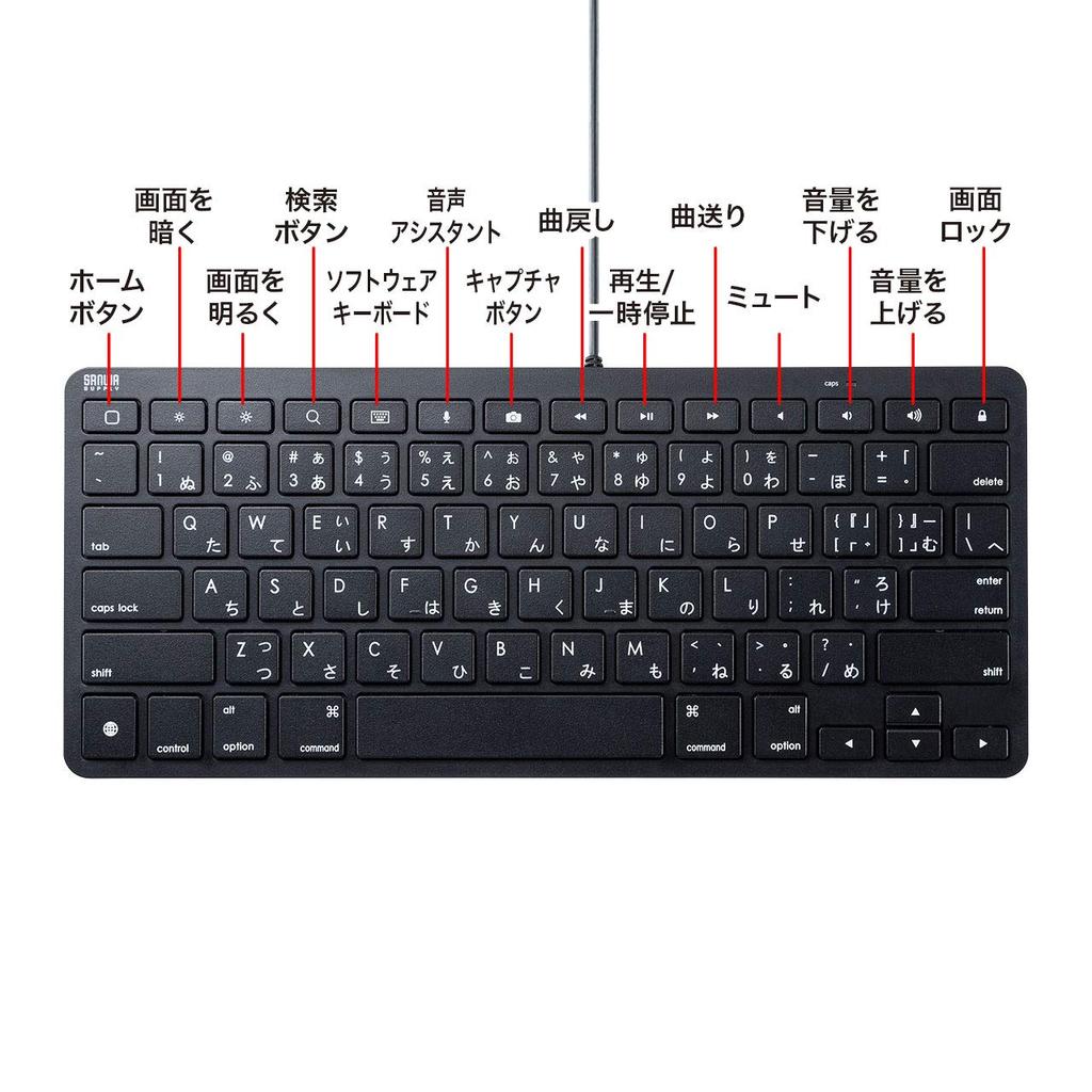 Sanwa Supply iPad Keyboard with Lightning Connection, Black, SKB-IP3BK