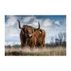 Animal Highland Cow Scottish Highland Cow Buffalo Cattle Art Posters Canvas Painting Wall Prints Pictures Living Room Home Decor