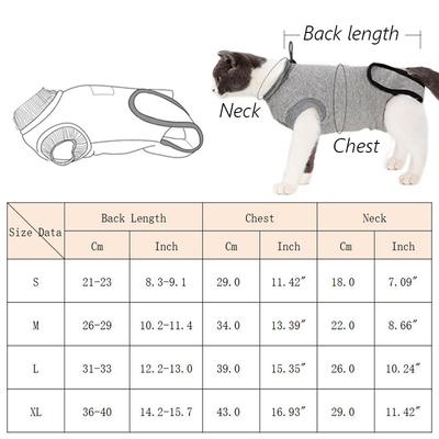 Gatos – Cuidados e higiene