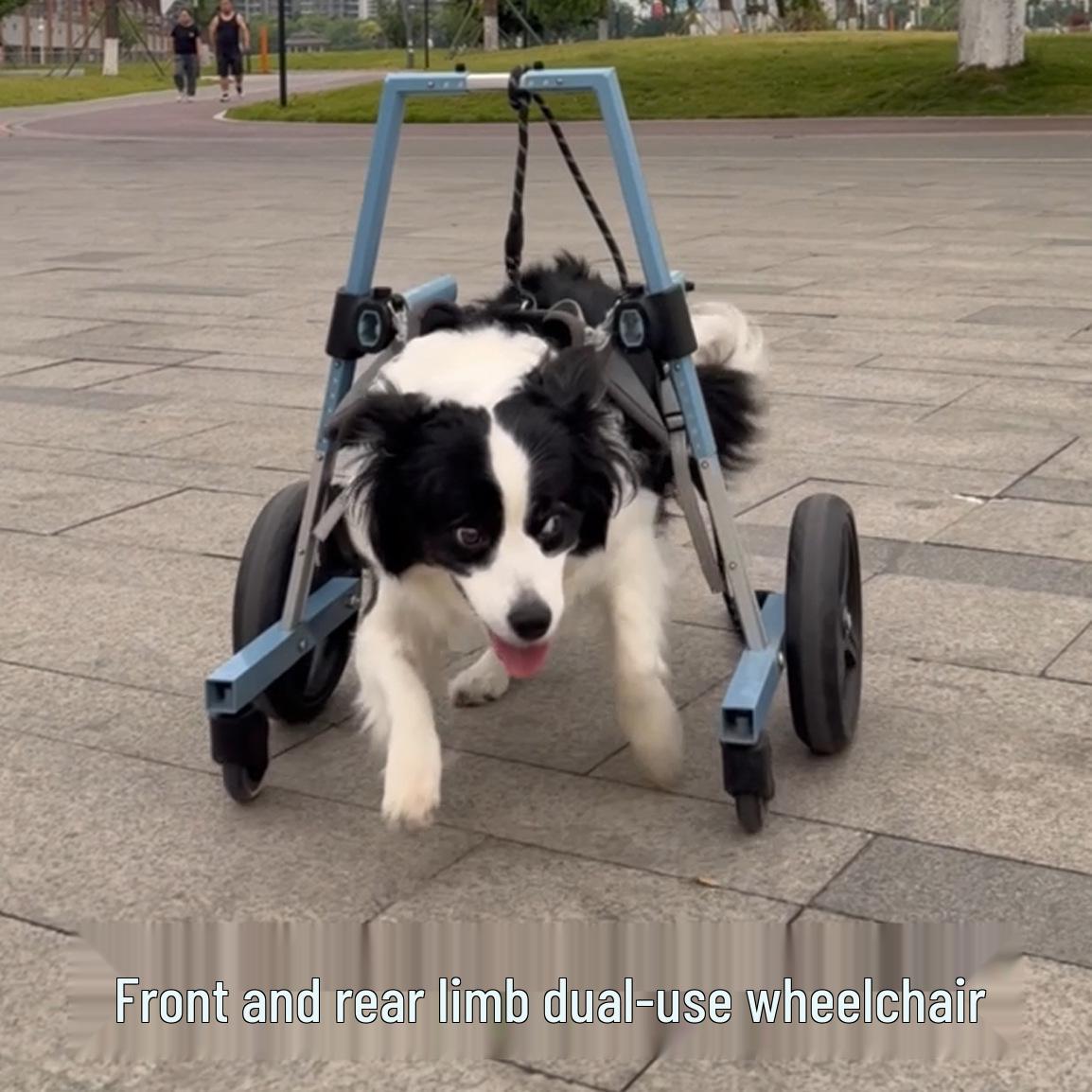 

Pet Forelimb Wheelchair: Assistive Walker for Paralyzed or Senior Dogs XS Forelimb