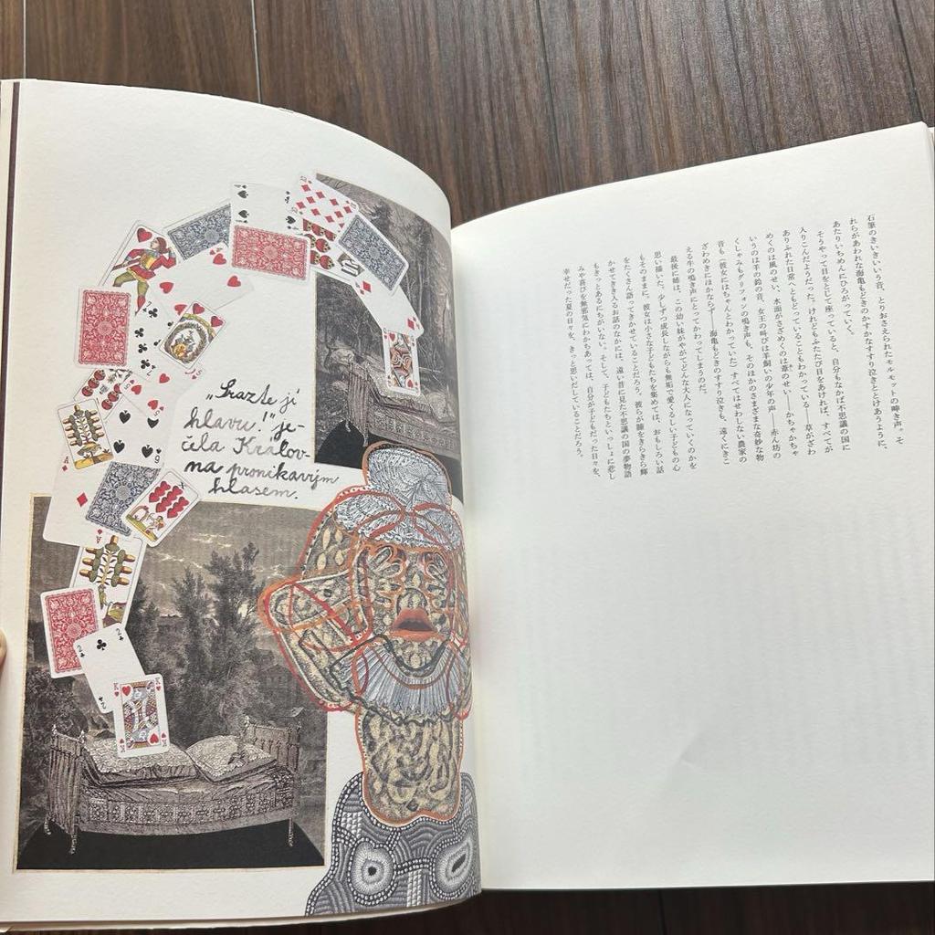 [USED] Rare Art Book of Alice In Wonderland by Jan Svankmajer with Case