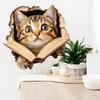 Peek a Boo Reading Cat Wall Sticker Removable Cartoon Decal for Kids Room Nursery Living Room Home Wall Decor