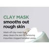 Isntree - Mugwort Calming Clay Mask Mini