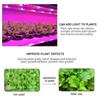 DC 5V USB LED Grow Light Full Spectrum Plant Light LED Strip Phyto Vegetable Flower Seedling Grow Lamp