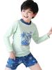 2026 Boys' Sun Protection Swimwear: Two-Piece Kids' Swimsuit & Trunks