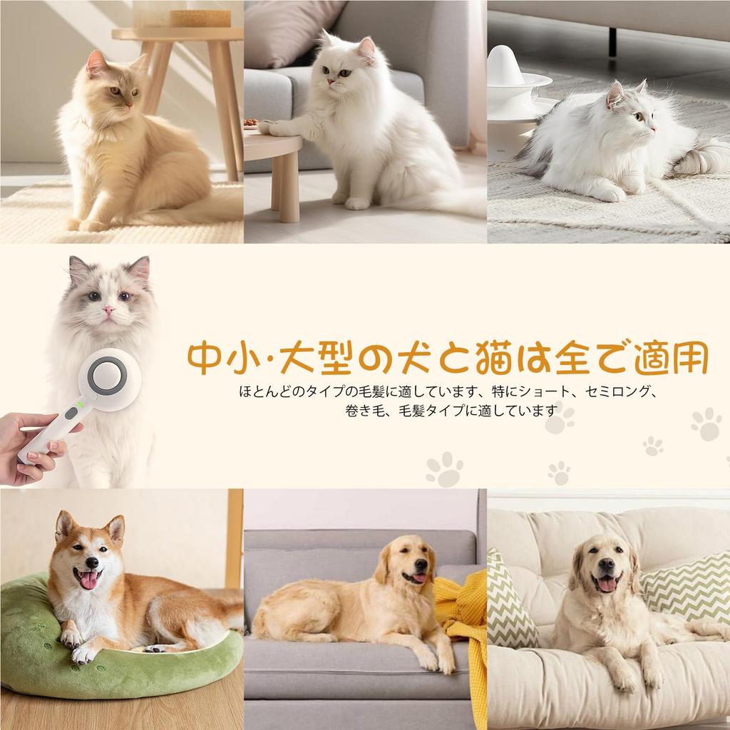 CuteBone Pet Brush with Steam Cat Dog Spray Painless Grooming Brush for Easy Hair Gentle On Durable Stainless Steel Includes Water Japanese