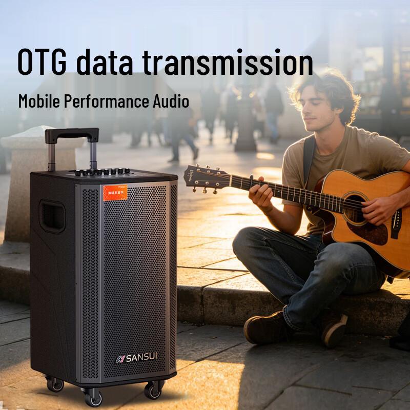 SANSUI E12 Portable Trolley Speaker with Wireless Microphone (CN version)