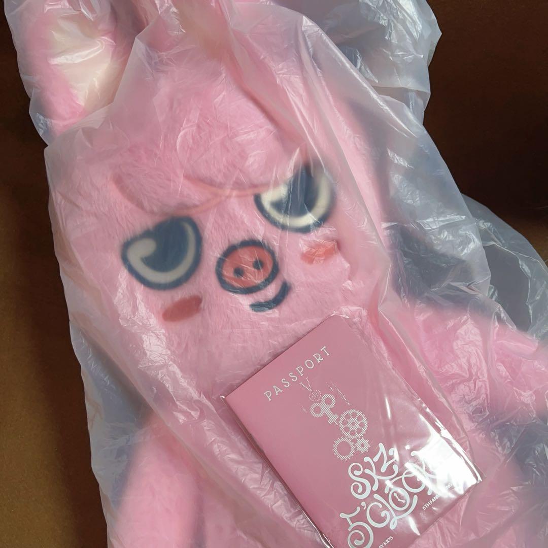 

[Б/У] SKZOO Плюшевый мишка Чанбин Туэки