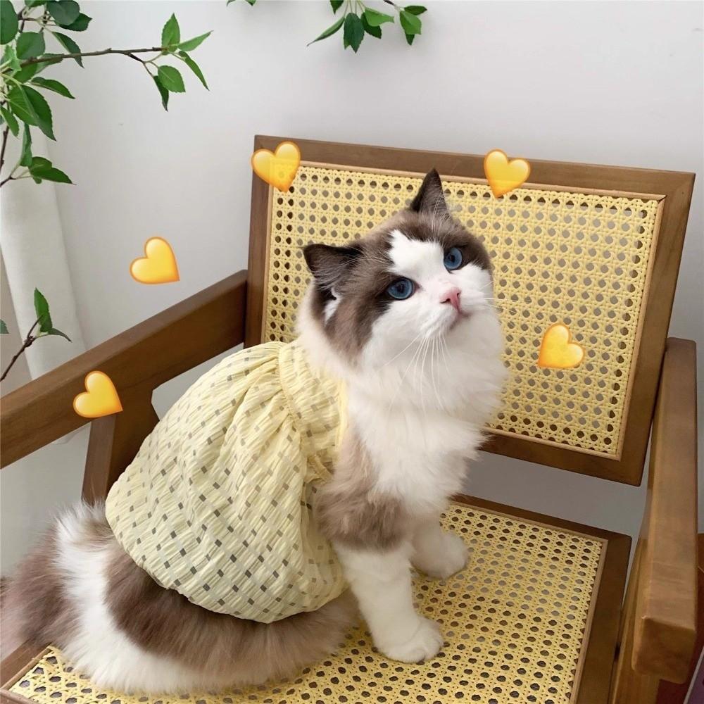 Sweet Cat Princess Skirt Breathable Puppy Dresses Pet Suspenders  Outdoor Activities