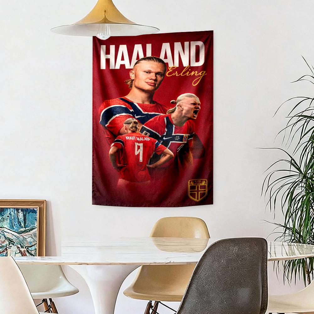 Haaland Wall Tapestry Psychedelic Art Ideal For Dorm Wall Balcony Bedroom Multipurpose Exotic Pattern Gift For Birthday