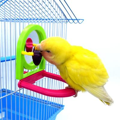 Pájaros – Juguetes para pájaros