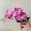 Vivid Artificial Moth Orchids Cloth Realistic Simulation Phalaenopsis Plants with Leaves Fake Butterfly Orchid Bedroom