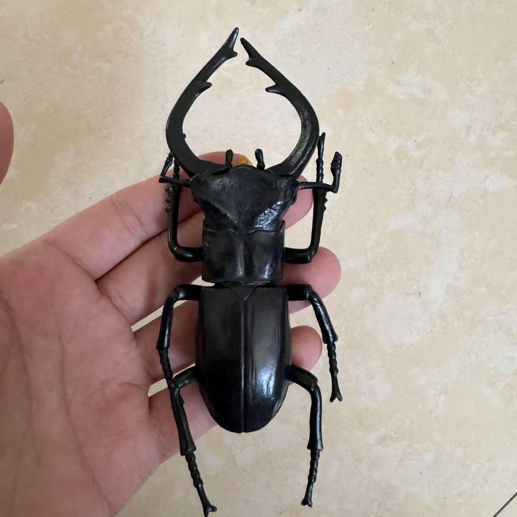 Biographical Analysis of Deer Antler Beetle and Claw Shaped Insect Beetle Gacha Simulation Animal Movable Joints Figure Toys