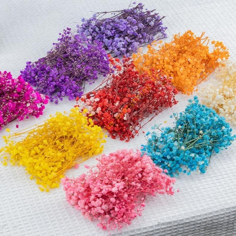 Set aus 50 getrockneten Schleierkraut-Bündeln, ewige Blumenstiele für Vasenarrangements, Dekoration, Tischmittelstücke 55KF
