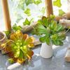 Lifelike Artificial Succulent Plant Real Touch Simulation Bonsai Plant  Home Office Decor