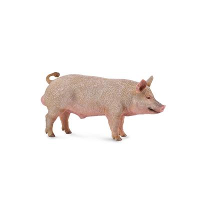 CollectA Domuz Figürü (Orta) (Domuz)