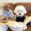 Soft Teddy Vest Autumn Pet Clothes Small Dog Cat Warm Bottoming Shirt Poodle Sailor Collar Pullover Dog Stuff