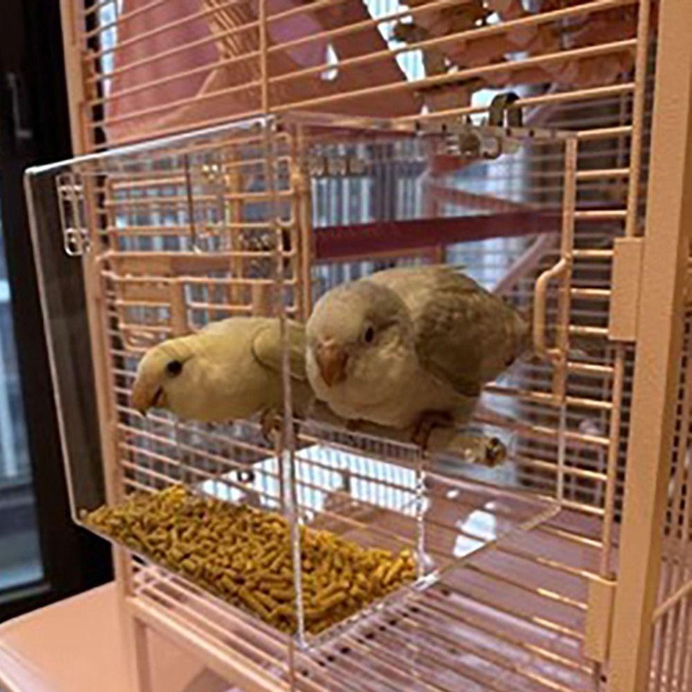 Hanging Acrylic Bird Feeder Transparent Parrot Parakeet Tray Bird Automatic Feeder  for Bird