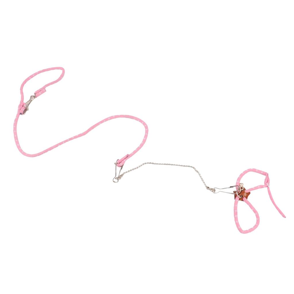 Traction Rope And Outdoor Ventilation Rope Small Hamster Pet Leash