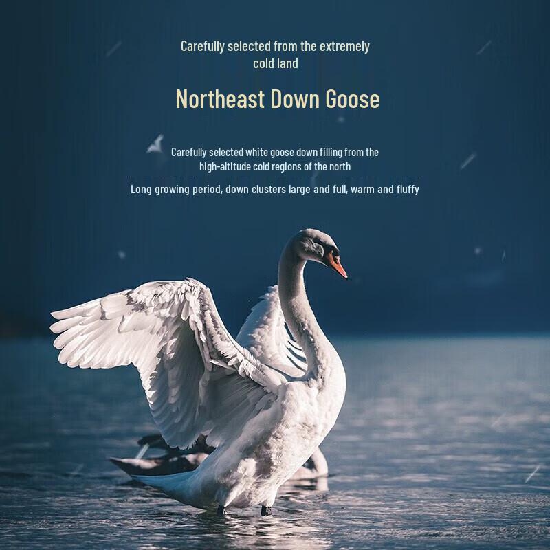 Mendale ZHENROU 95% White Goose Down Four-Season Antibacterial Duvet
