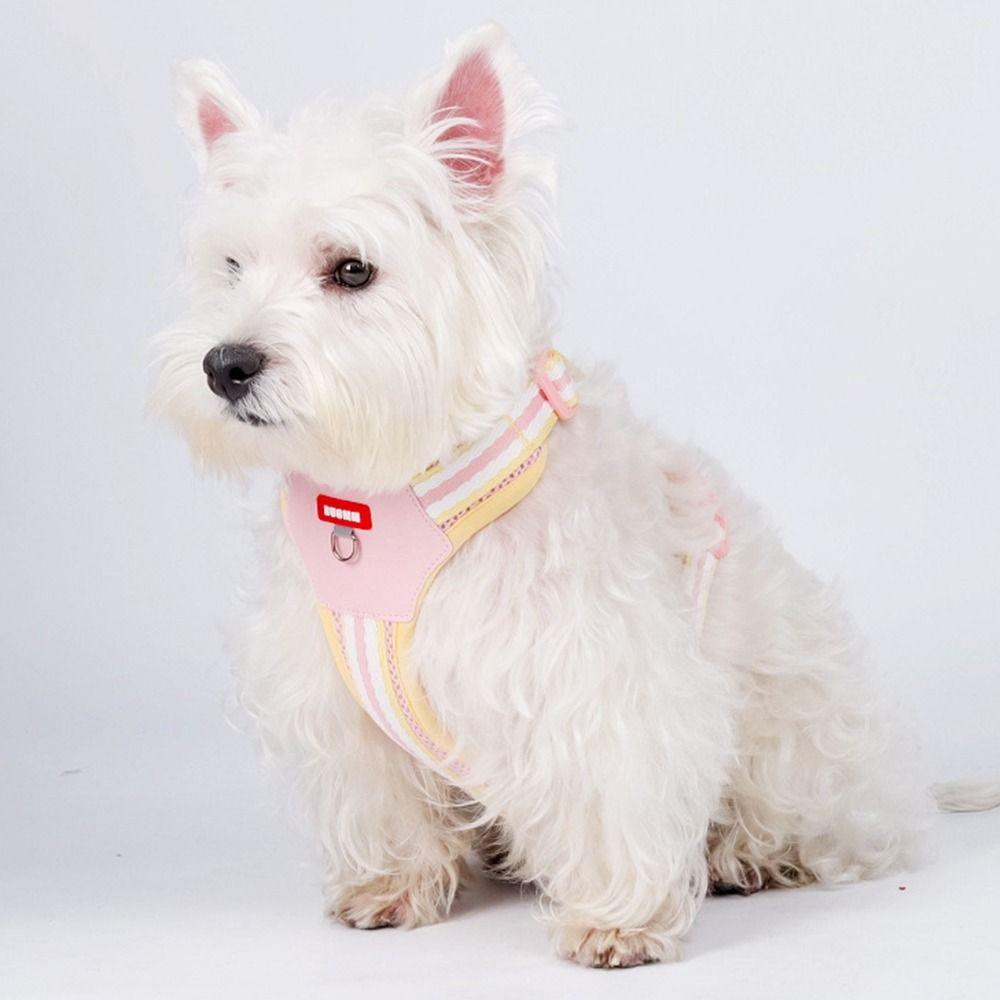 with Traction Rope Pet Walking Vest Padded Cat Jacket Harness Cat Walking