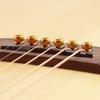 6Pcs Guitar Strings Nail Metal Acoustic Guitar Bridge Pins Brass Fixed Cone Pins String Nut Nails for Guitar Parts Replacement