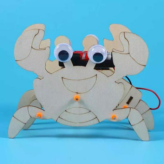 DIY Bionic Crab Robot Kit for Kids - Hands-On Science & Physics Exploration