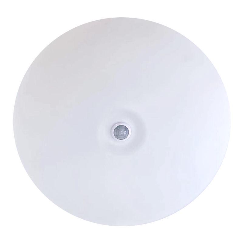 Infrared LED Motion Sensor Sound-Control Ceiling Light for Stairwells and Corridors